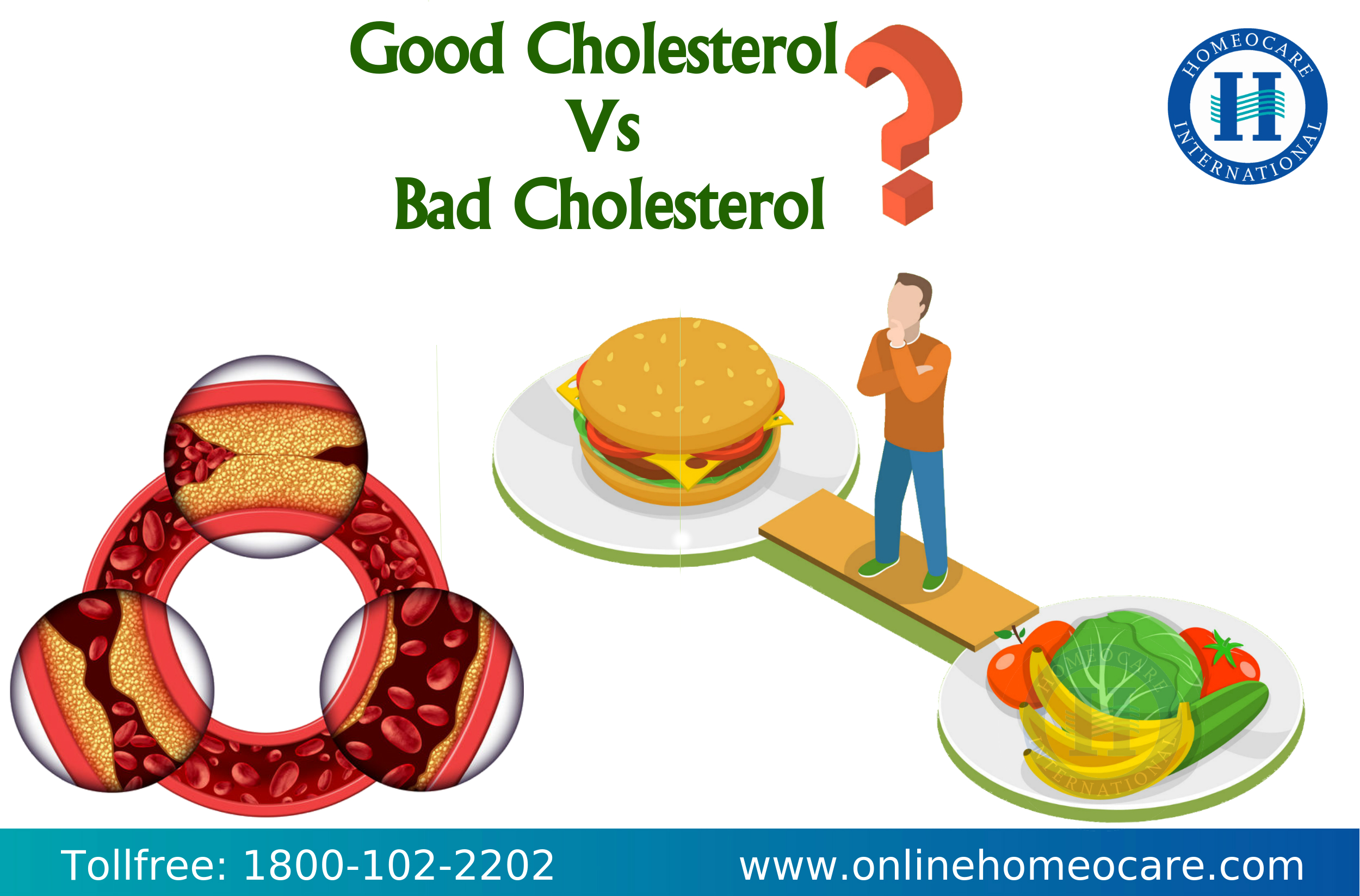 Good vs Bad Cholesterol